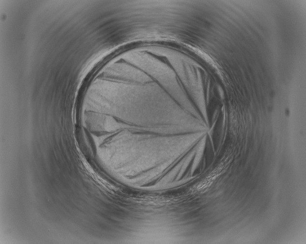 X0000066950935200604211811