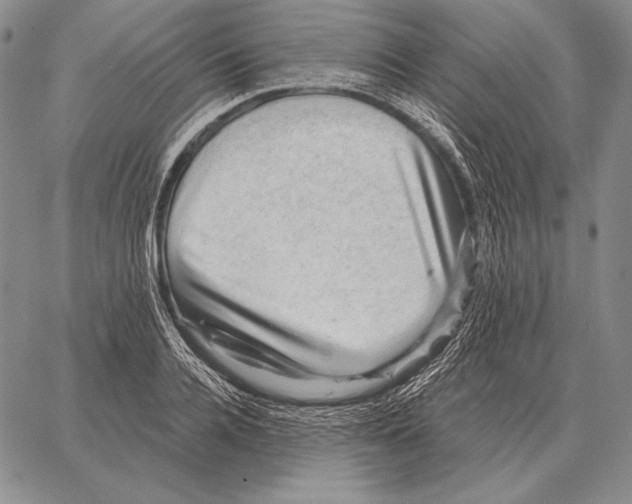 X0000066950936200604211811