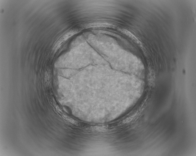 X0000066950937200604211811