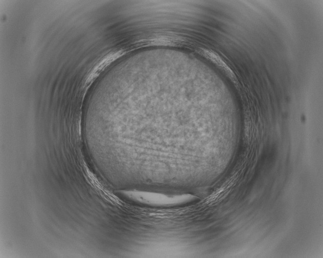 X0000066950938200604211811