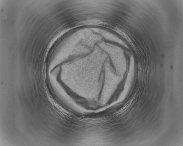 X0000066950939200604211811