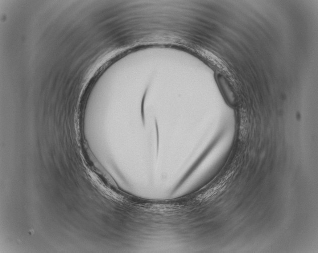 X0000066950942200604211812