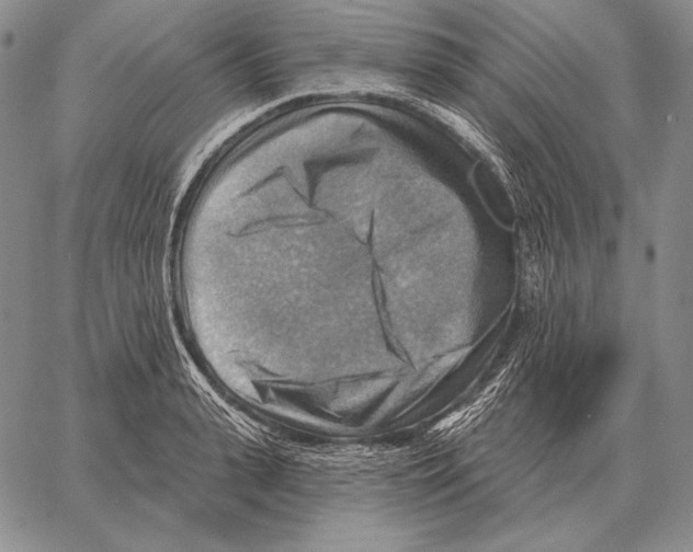 X0000066950943200604211812