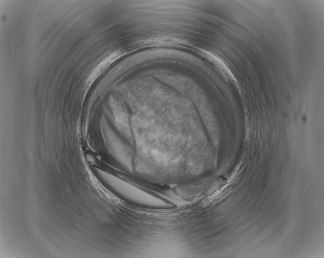 X0000066950946200604211812