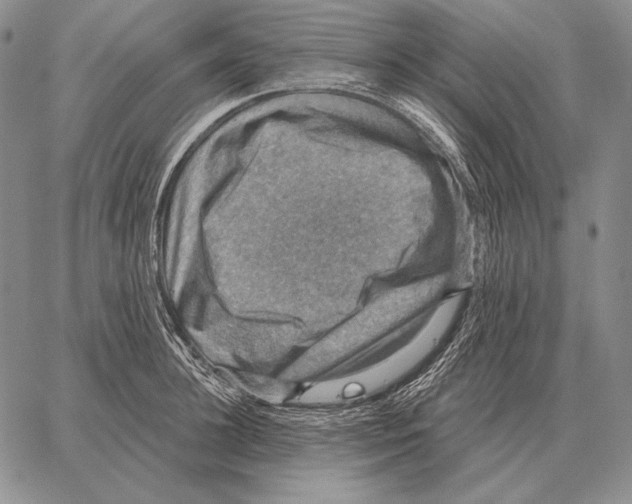 X0000066950948200604211812