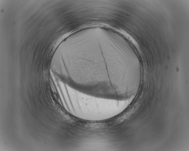 X0000066950953200604211812