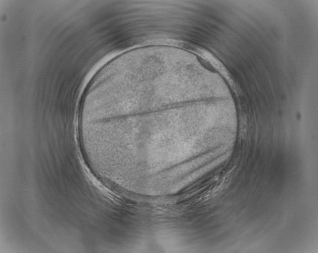 X0000066950955200604211812