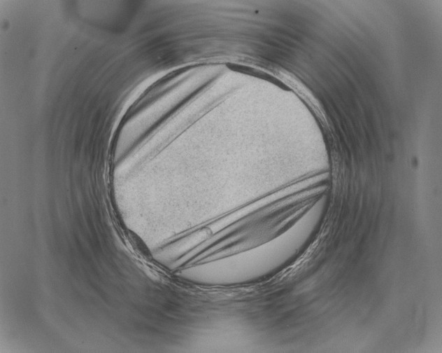 X0000066950956200604211812