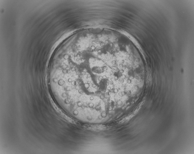 X0000066950957200604211812