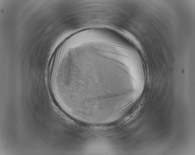 X0000066950958200604211812