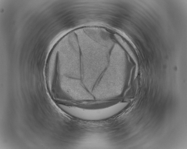 X0000066950959200604211812