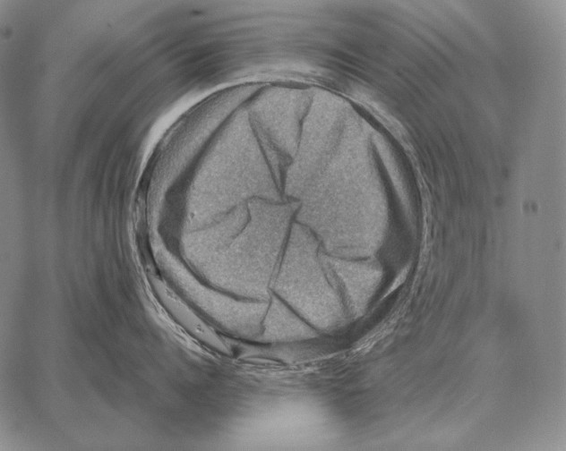 X0000066950960200604211812