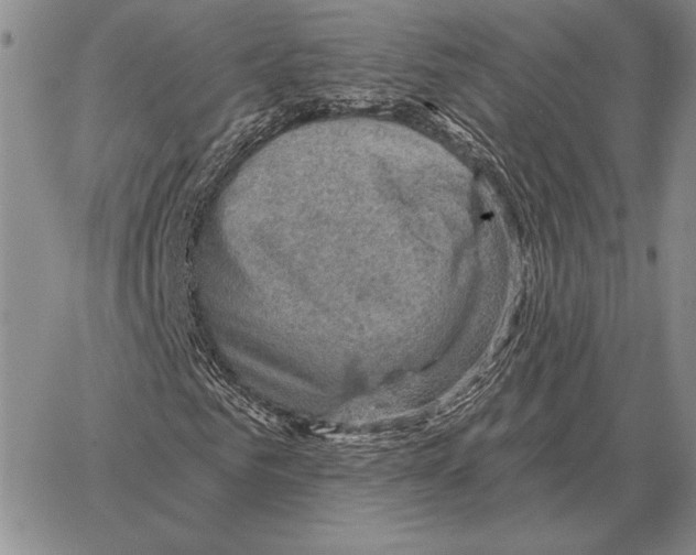 X0000066950961200604211811