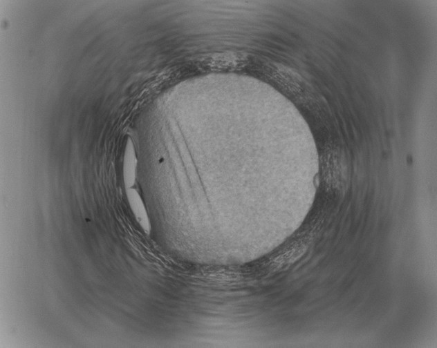 X0000066950962200604211811