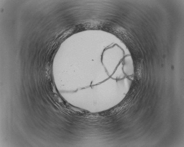 X0000066950964200604211811