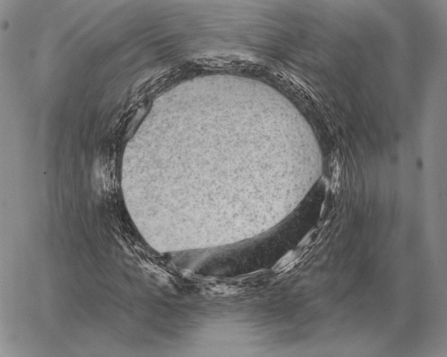 X0000066950965200604211811