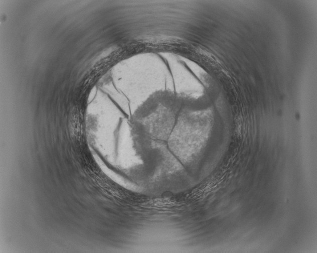 X0000066950966200604211811