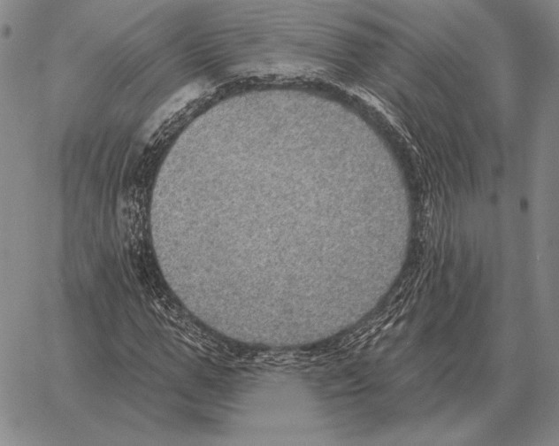 X0000066950967200604211811