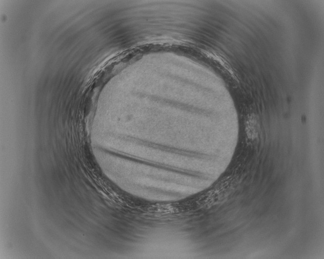 X0000066950968200604211811