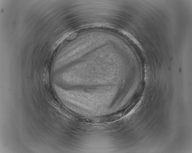 X0000066950969200604211811