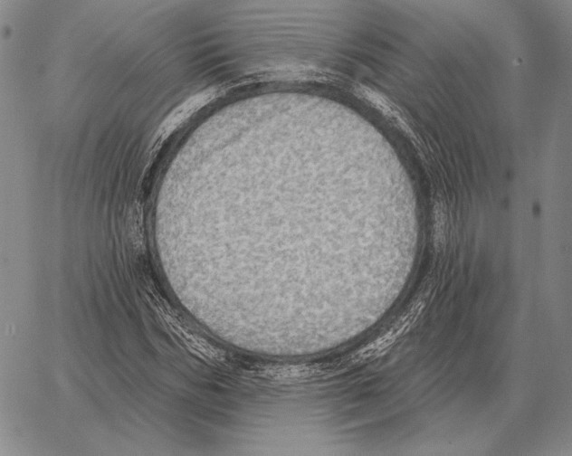 X0000066950970200604211811