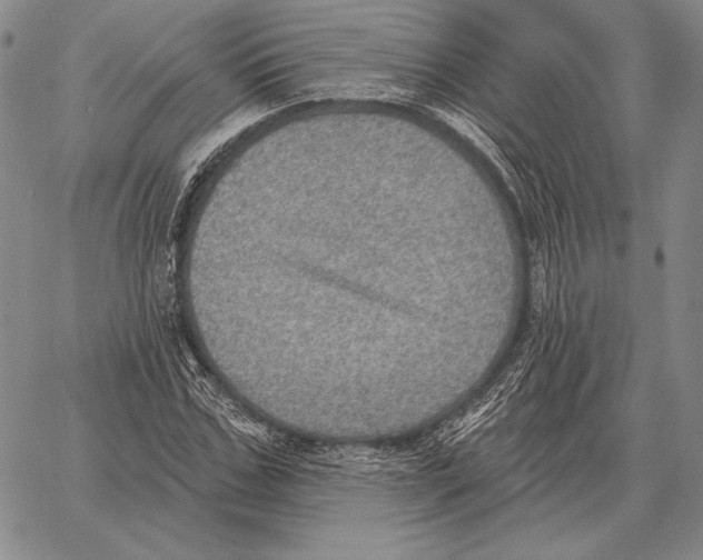 X0000066950971200604211811