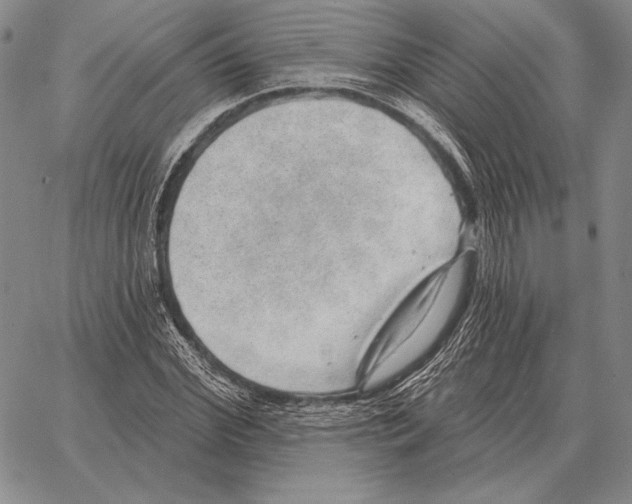 X0000066950972200604211811