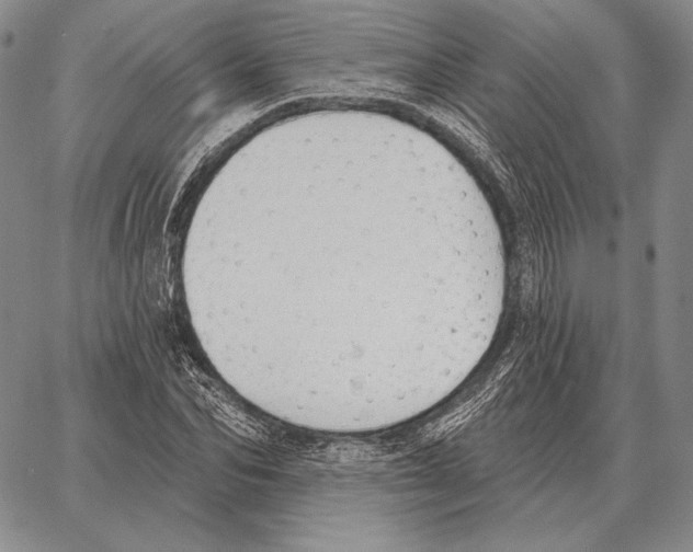 X0000066950974200604211811