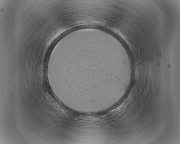 X0000066950975200604211811