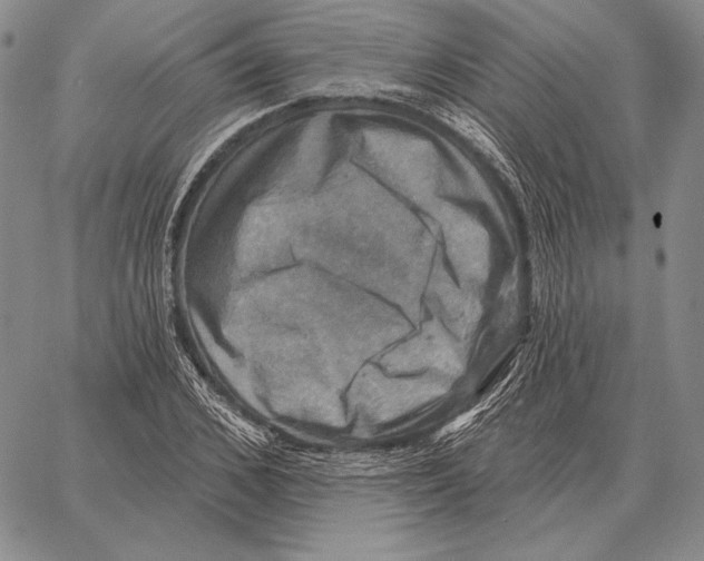 X0000066950976200604211811