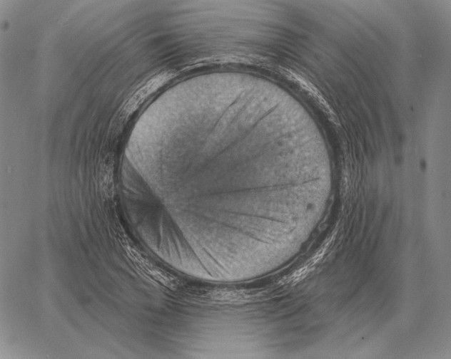 X0000066950977200604211811