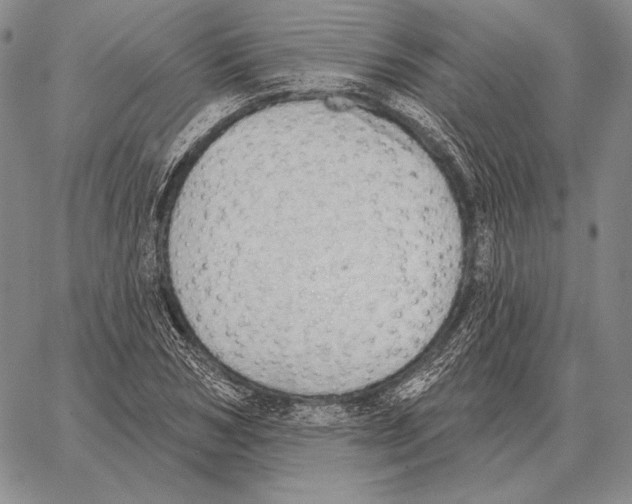 X0000066950978200604211811