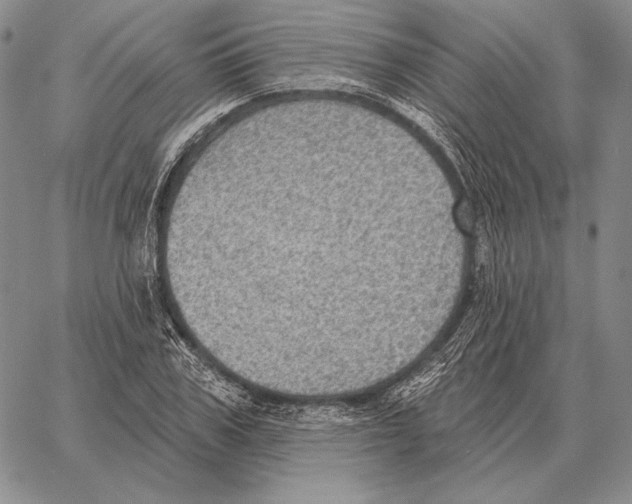 X0000066950979200604211811