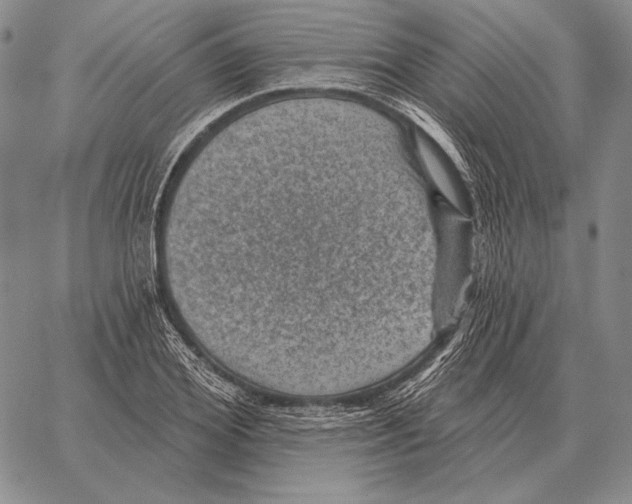 X0000066950980200604211811