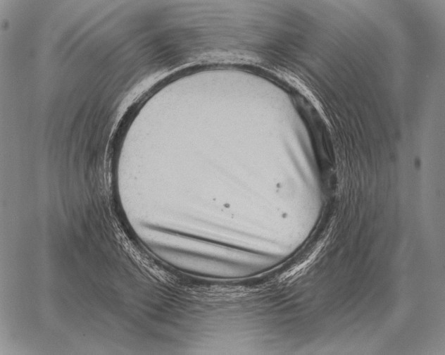 X0000066950981200604211811