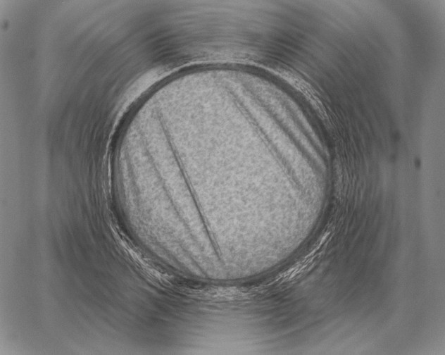 X0000066950982200604211811