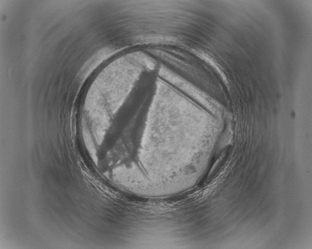 X0000066950983200604211811