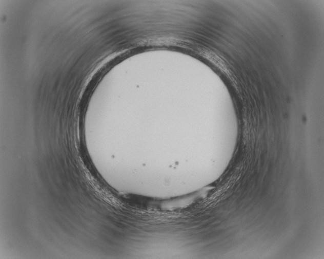 X0000066950984200604211811