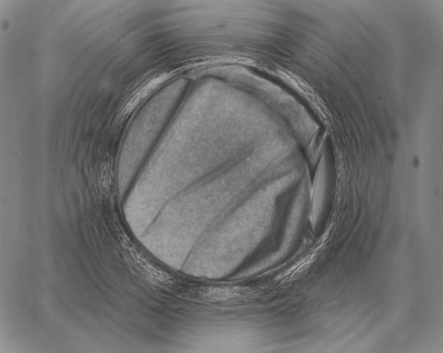 X0000066950985200604211811