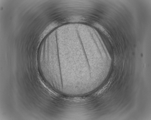 X0000066950986200604211811