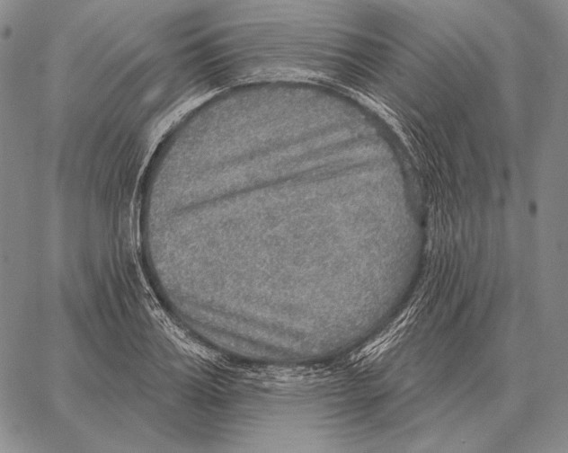 X0000066950987200604211811