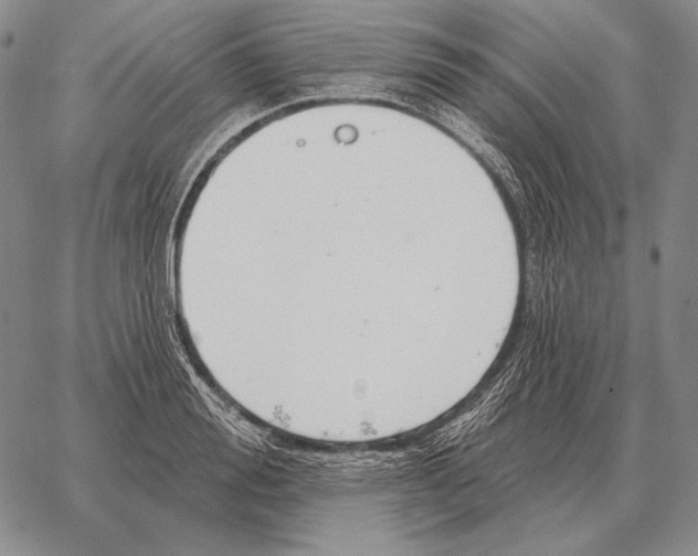 X0000066950988200604211811