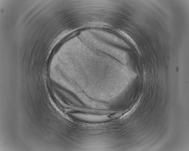 X0000066950989200604211811