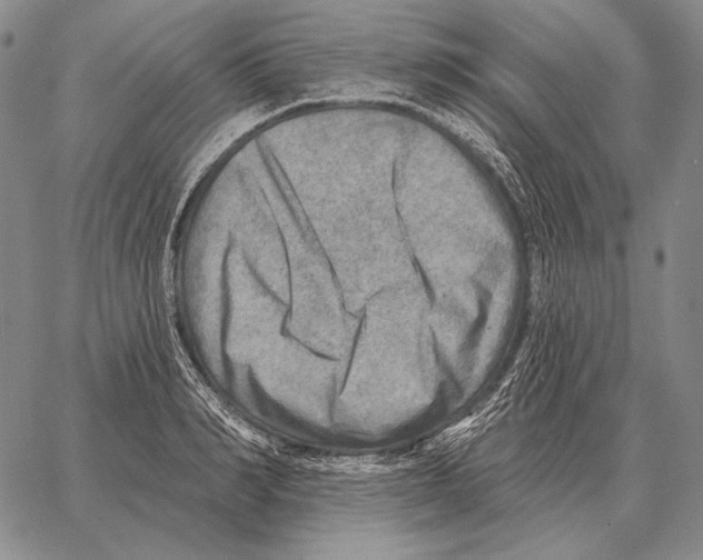 X0000066950990200604211811