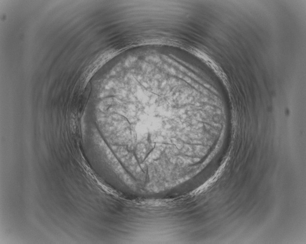 X0000066950993200604211810