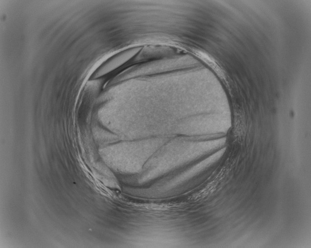 X0000066950996200604211810