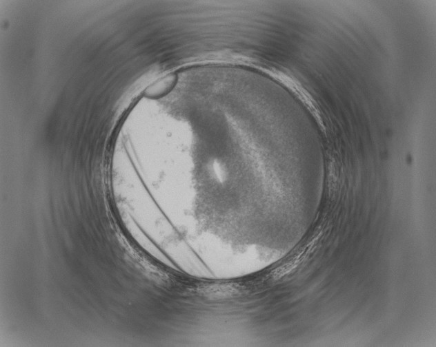 X0000066950998200604211810