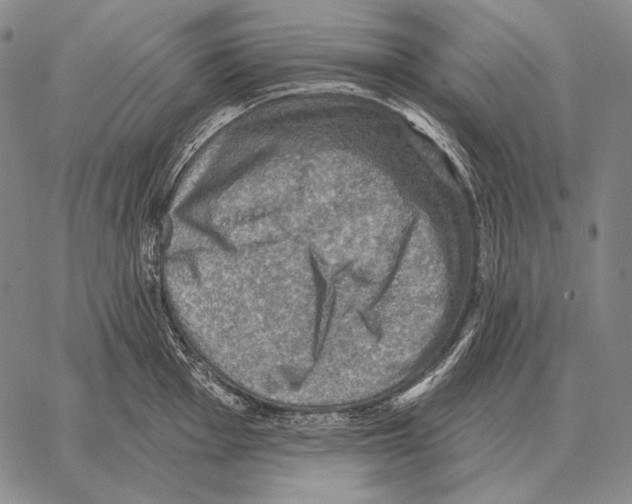 X0000066951001200604211810