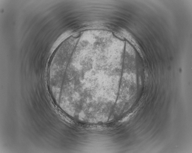 X0000066951002200604211810