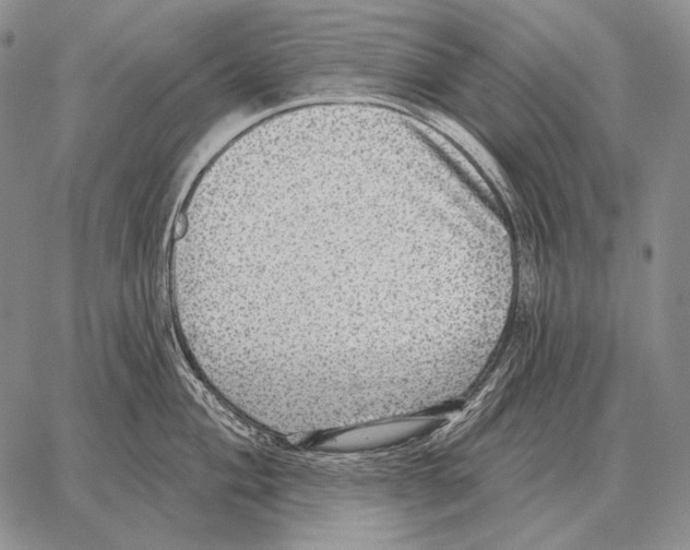 X0000066951004200604211810